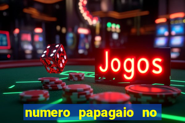 numero papagaio no jogo do bicho